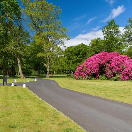 Tyrrells Park-2
